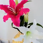 Kompaktes Mit Parkplatz & Top-anbindung - Ideal Fuer Kurzaufenthalte Magdeburg