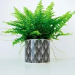 Daire Kompaktes Mit Parkplatz & Top-anbindung - Ideal Fuer Kurzaufenthalte *